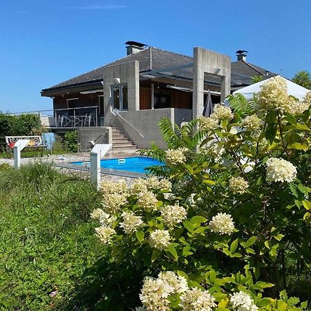 Gemuetliches Haus In Seewalchen Am Attersee Daire Dış mekan fotoğraf