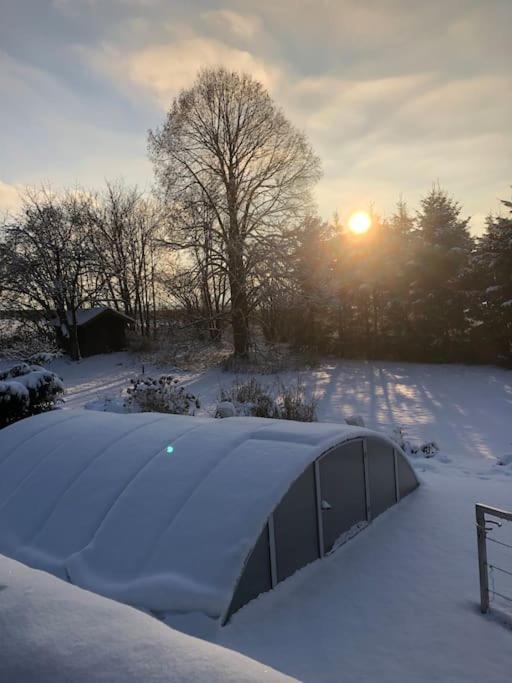 Gemuetliches Haus In Seewalchen Am Attersee Daire Dış mekan fotoğraf